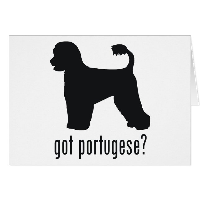 Portugese Water Dog (Front Horizontal)