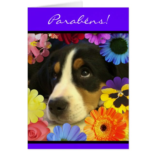 Portuguese: Parabens cachorrinho (Front)