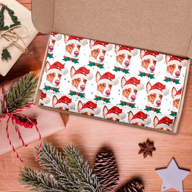 Portuguese Podengo Dog Breed Christmas Stars Tissue Paper (Creator Uploaded)