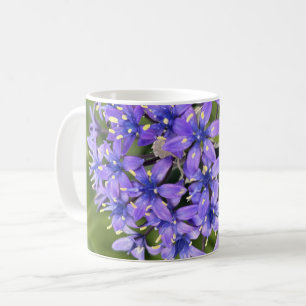 Portuguese Squill Flowers Closeup Nature Photo Coffee Mug