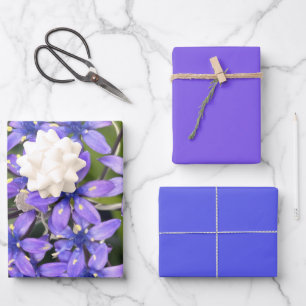 Portuguese Squill Flowers Closeup Nature Photo Wrapping Paper Sheet