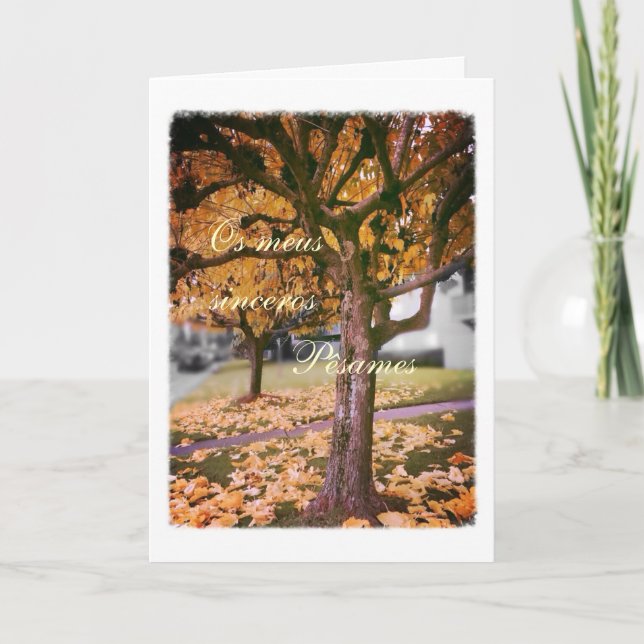 Portuguese sympathy card/condolencias: Fall tree Card (Front)