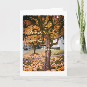 Portuguese sympathy card/condolencias: Fall Tree Card