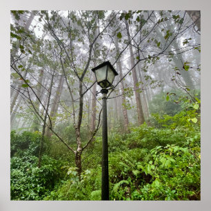 Portuguese vibes poster