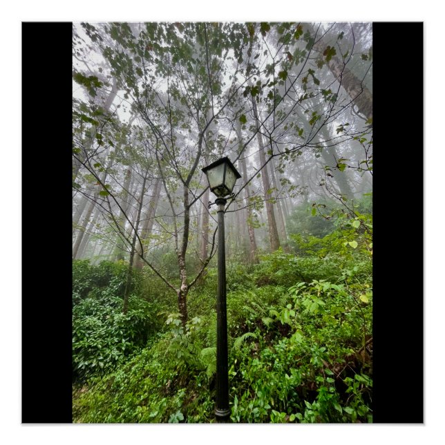 Portuguese vibes poster (Front)