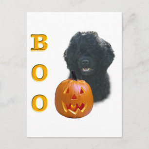 Portuguese Water Dog Boo Postcard