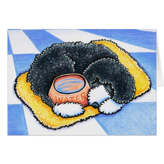 Portuguese Water Dog Card