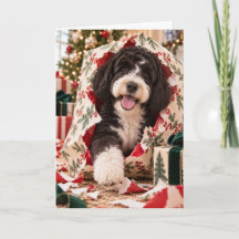Portuguese Water Dog Christmas Card