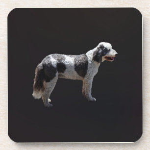 Portuguese Water Dog Coaster