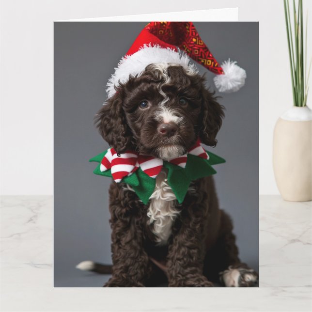 Portuguese Water Dog Elf Puppy Christmas Card  (Front)