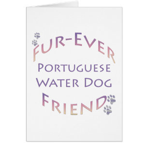 Portuguese Water Dog Furever