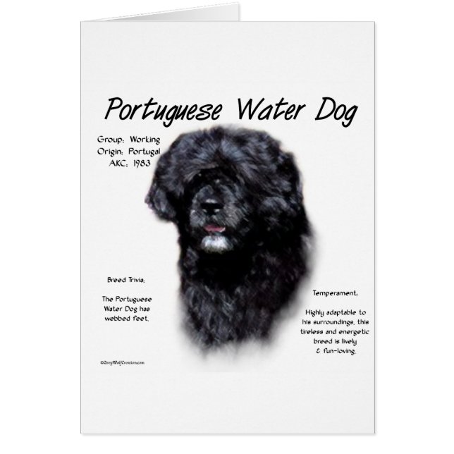 Portuguese Water Dog History Design (Front)
