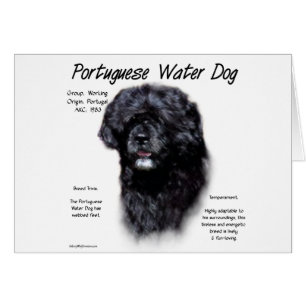 Portuguese Water Dog History Design