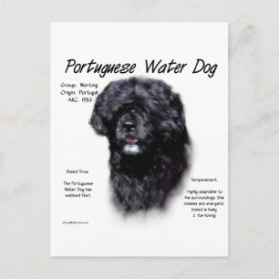 Portuguese Water Dog History Design Postcard