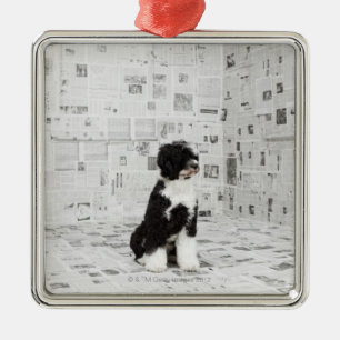 Portuguese Water Dog in room covered in Metal Tree Decoration
