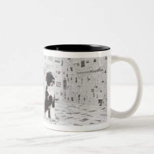 Portuguese Water Dog in room covered in Two-Tone Coffee Mug