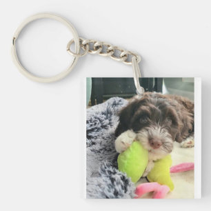 Portuguese Water Dog Key Chain