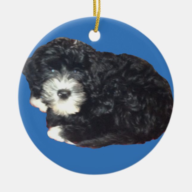 Portuguese Water Dog Ornament (Front)