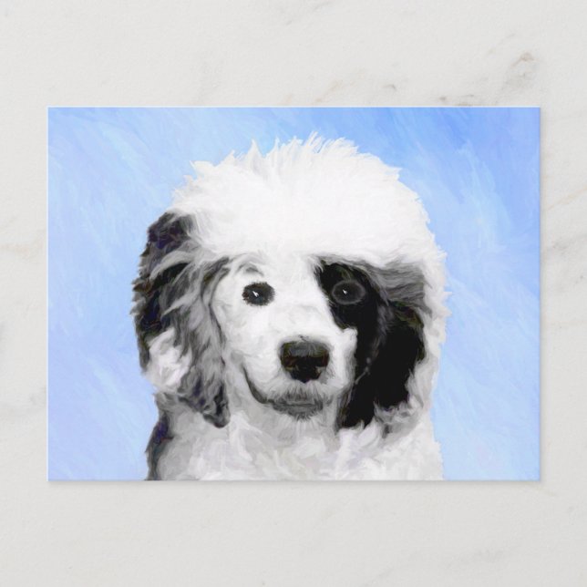 Portuguese Water Dog Painting - Original Dog Art Postcard (Front)