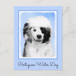 Portuguese Water Dog Painting - Original Dog Art Postcard