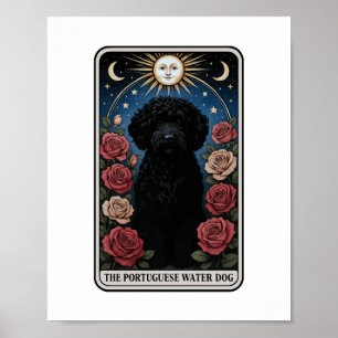 Portuguese Water Dog Poster