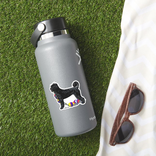 Portuguese Water Dog Standing with Float Line  (HydroFlask Insitu)