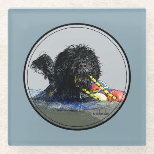 Portuguese Water Dog Swimming with Float Line Glass Coaster
