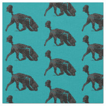 Portuguese Water Dog - Track / Scent Turquoise 2"