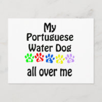 Portuguese Water Dog Walks Design