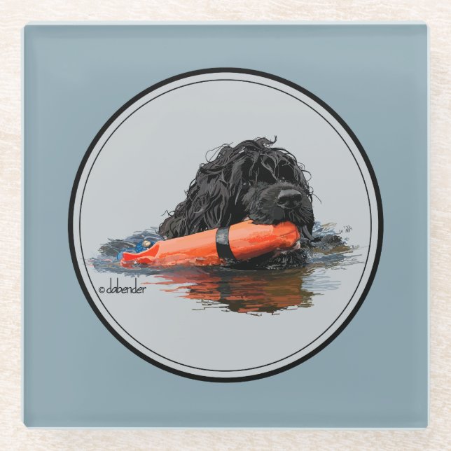 Portuguese Water Dog with Orange Bumper Glass Coaster (Front)
