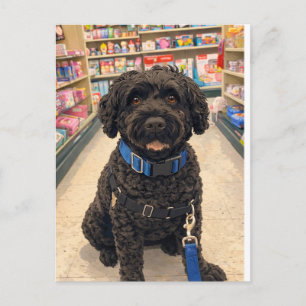 Portuguese Water Dogs Anime Anemi Postcard