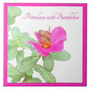 Portulaca with bumblebee on white tile