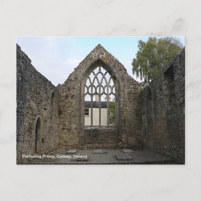 Portumna Priory Ruin Ireland Postcard (Front)