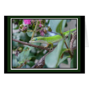 Posing Anole Card