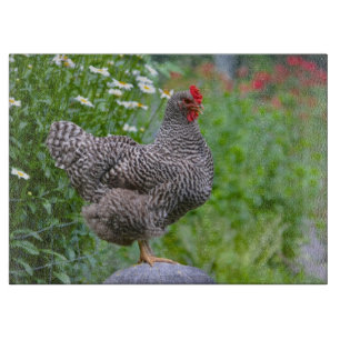 Posing Chicken Cutting Board