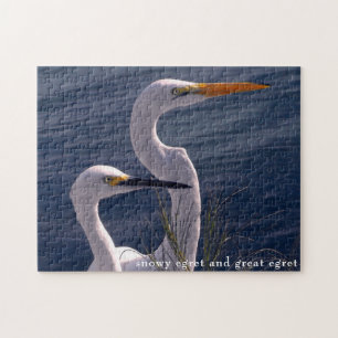 Posing Egrets Jigsaw Puzzle