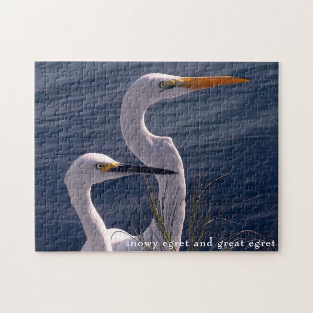 Posing Egrets Jigsaw Puzzle (Horizontal)