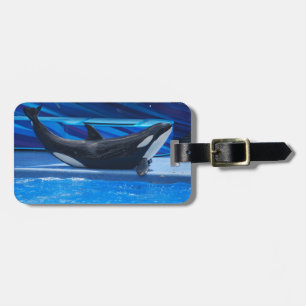 Posing Orca Luggage Tag