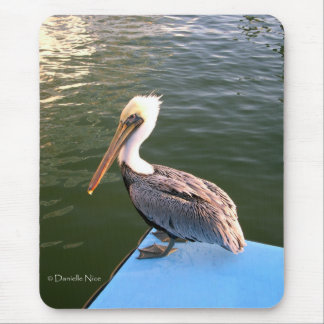 Posing Pelican Mousepad