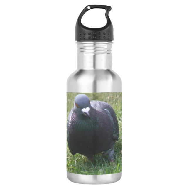 Posing Pigeon 710 Ml Water Bottle (Front)