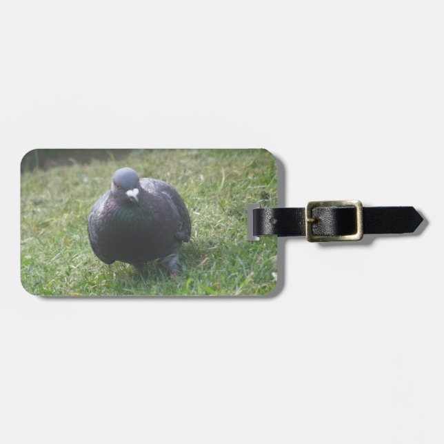 Posing Pigeon Custom Luggage Tag (Front Horizontal)