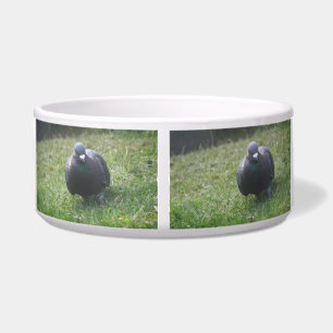 Posing Pigeon Dog Bowl