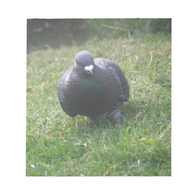 Posing Pigeon Notepad (Front)
