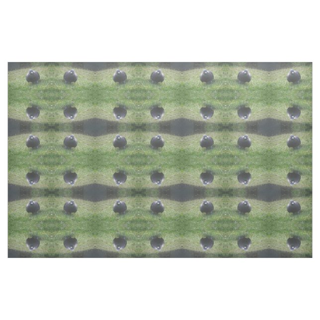 Posing Pigeon Patterned Animal Craft Fabric (Fat Quarter)
