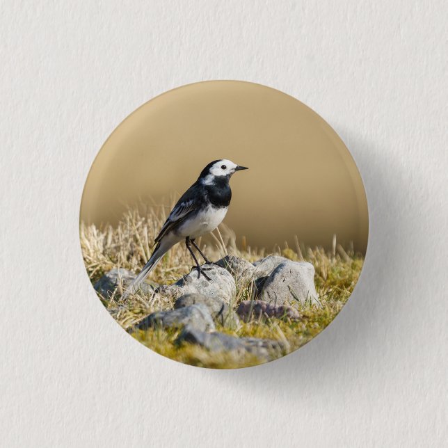 Posing Wagtail 3 Cm Round Badge (Front)