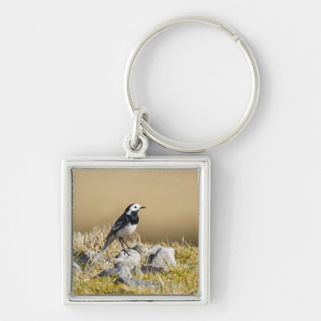 Posing Wagtail Key Ring (Front)