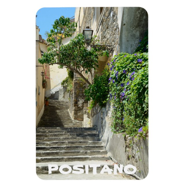 Positano, Italy Magnet (Vertical)