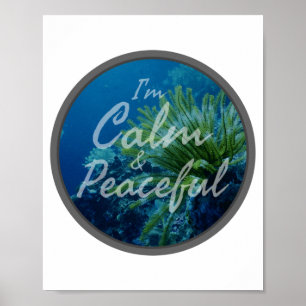 positive affirmations about self acceptance poster