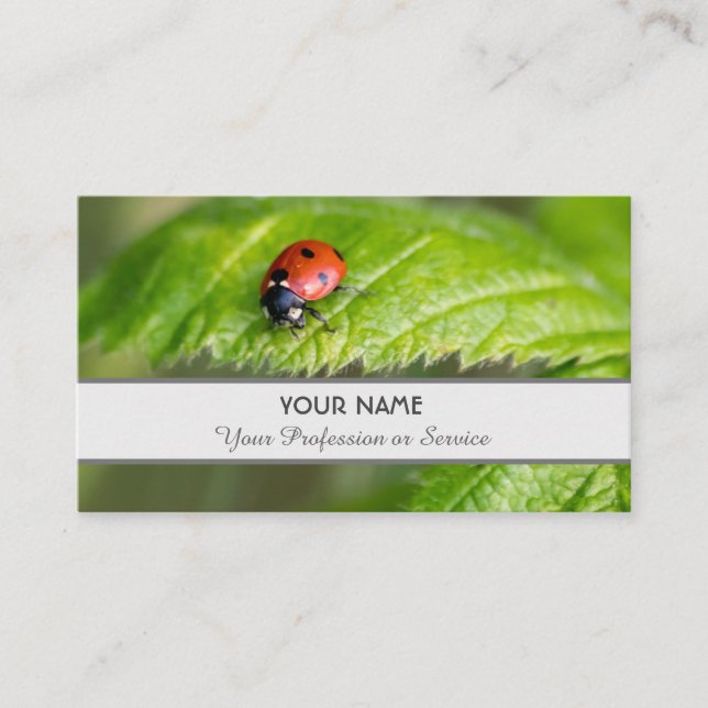 Positive and lucky ladybug for zen and education b business card (Front)