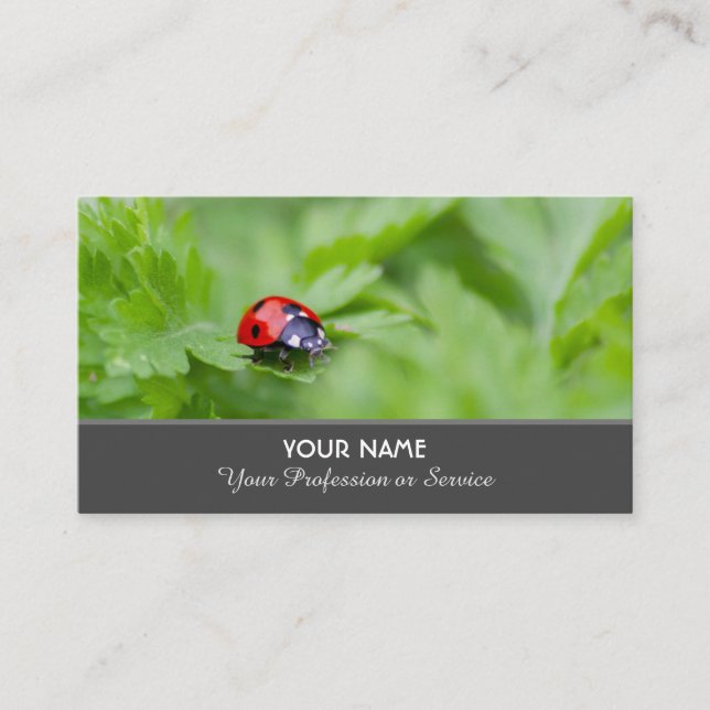 Positive and lucky ladybug for zen and education business card (Front)